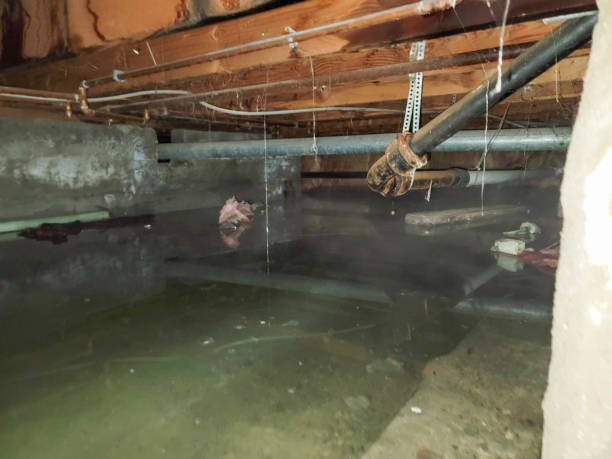 Best 24-hour water damage restoration  in Vidalia, GA