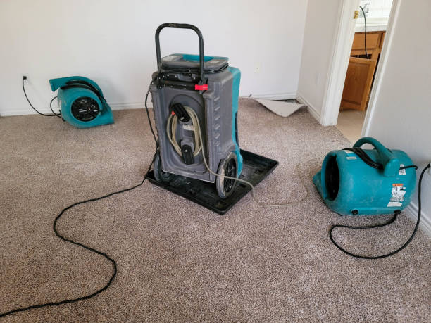 Best Basement water damage restoration  in Vidalia, GA