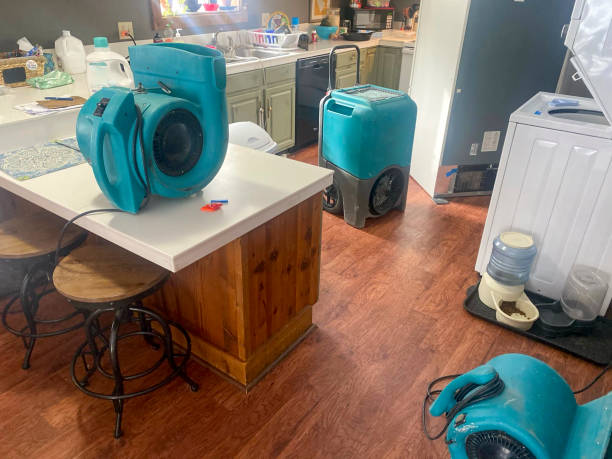 Best Local water damage restoration  in Vidalia, GA