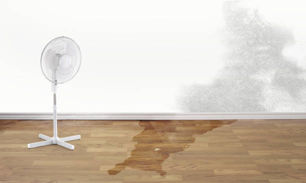 Best Commercial water damage restoration  in Vidalia, GA