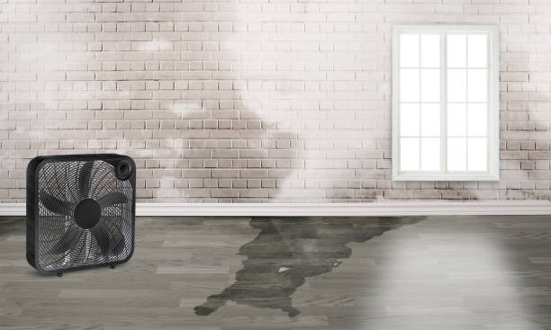 Best Sewage cleanup and water damage restoration  in Vidalia, GA