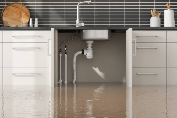 Best 24/7 water damage repair  in Vidalia, GA