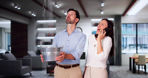 Best Local water damage restoration  in Vidalia, GA