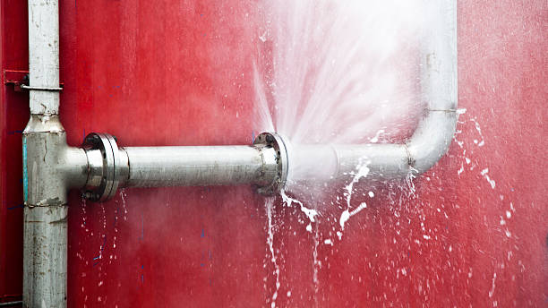 Best Ceiling water damage repair  in Vidalia, GA